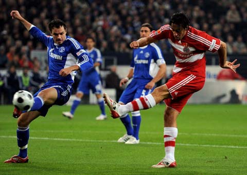 国游泳新生 国游泳新生